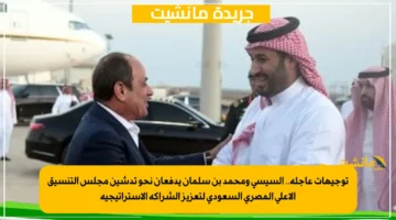 توجيهات عاجلة.. السيسي ومحمد بن سلمان يدفعان نحو تدشين مجلس التنسيق الأعلى المصري السعودي لتعزيز الشراكة الاستراتيجية 1
